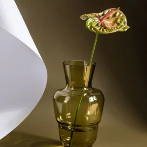 Anna von Lipa Shadows Vase Bonsai Green