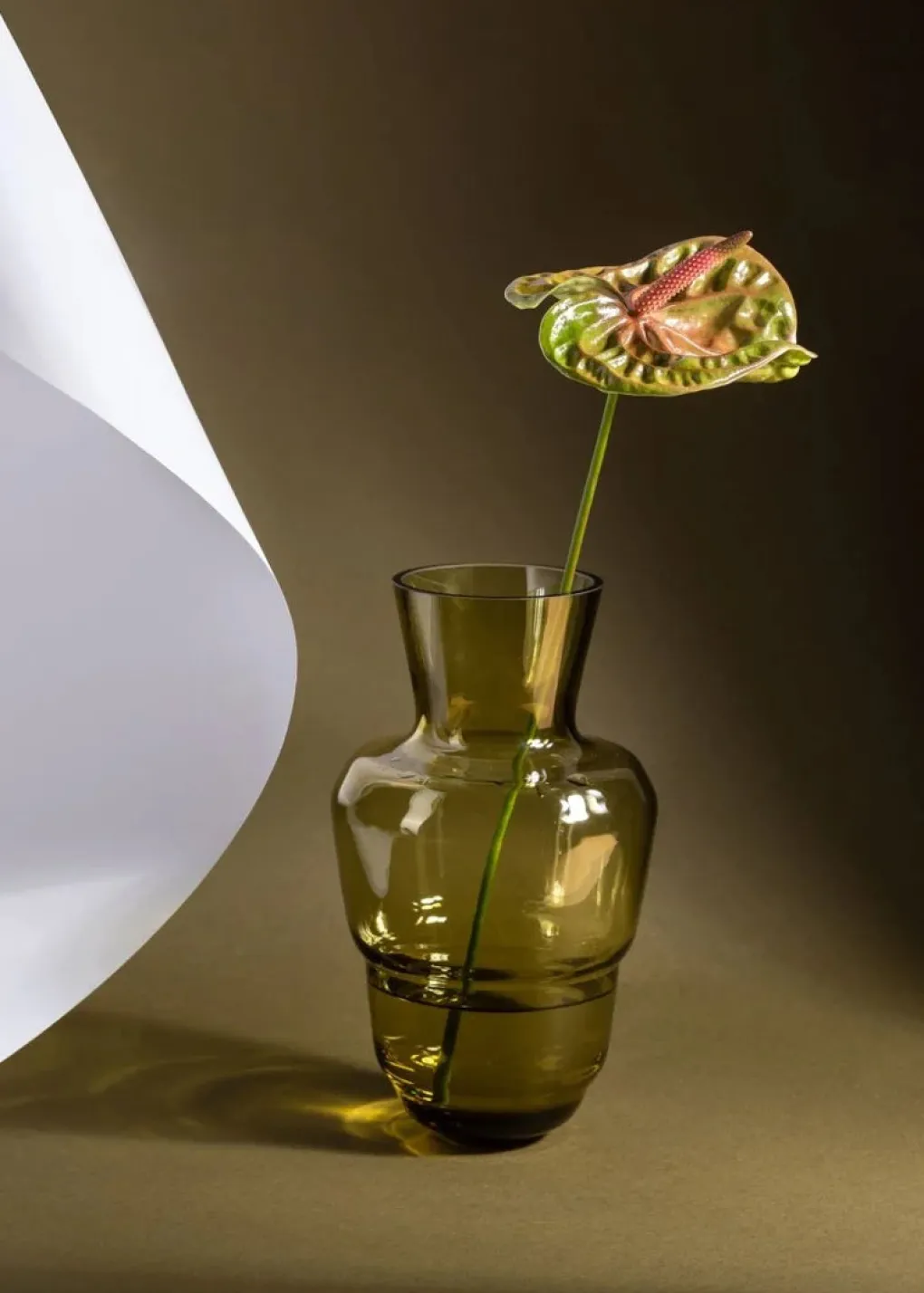 anna_von_lipa_shadows_vas_1.webp Anna von Lipa Shadows Vase Bonsai Green