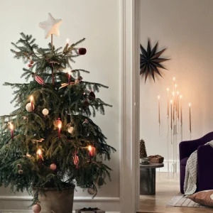 Broste Copenhagen Weihnachtsstern M Venok Fungi Grey Holz Furnier - 40cm